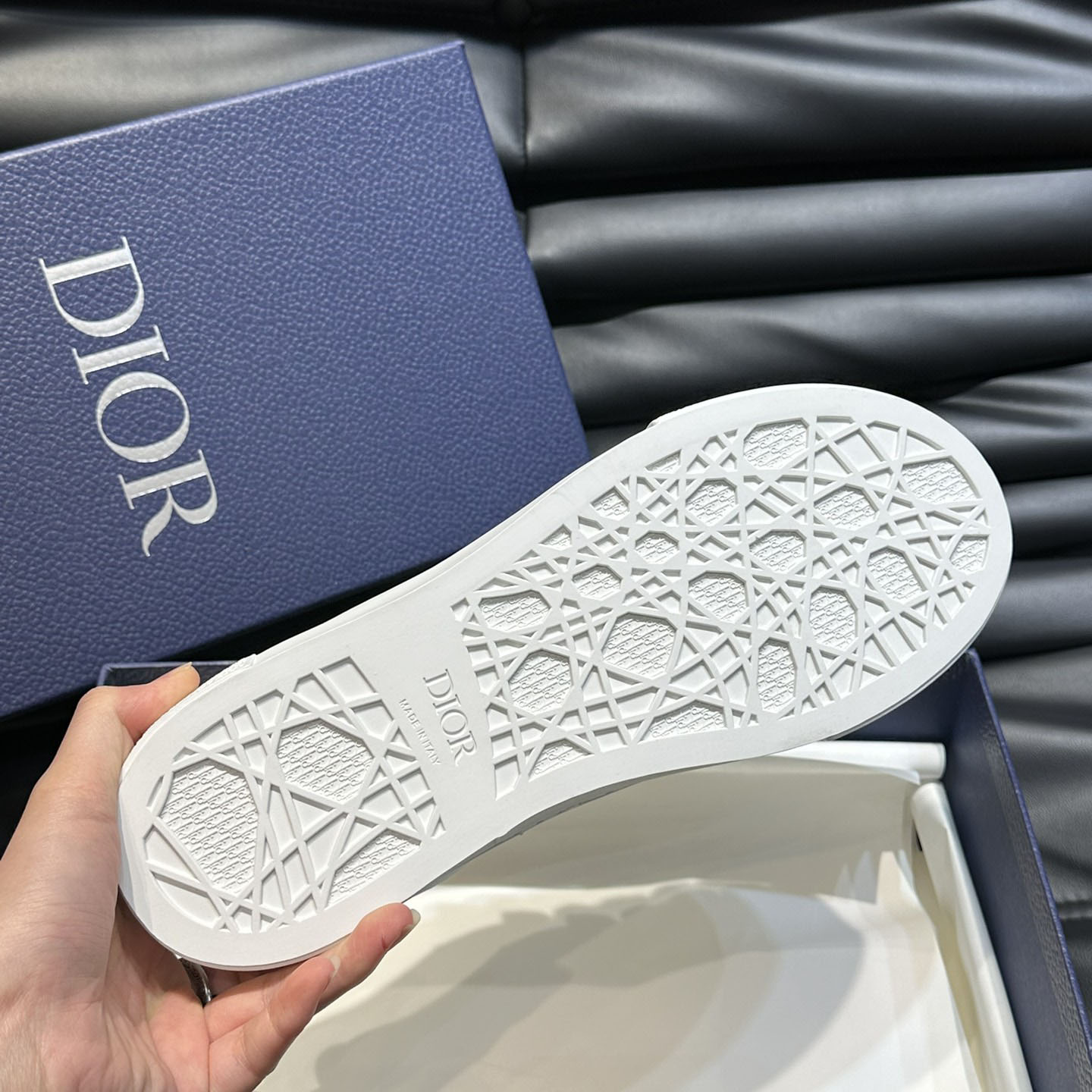 Dior B33 Sneaker  - DesignerGu