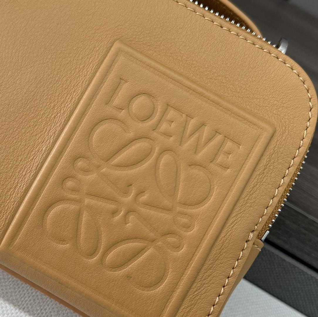 Loewe Mini Camera Crossbody Bag In Satin Calfskin - DesignerGu