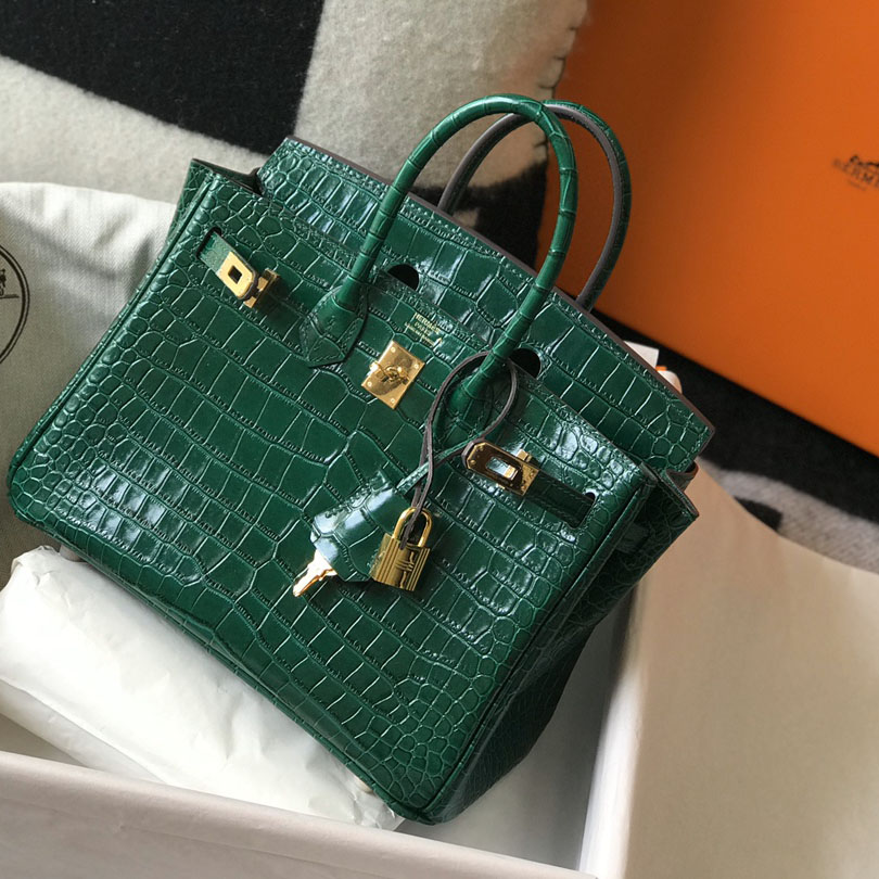 Hermes Birkin 25 Emeraude Porosus Lisse Shiny Gold Hardware (25-20-13cm) - DesignerGu