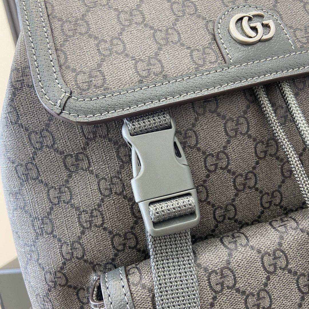 Gucci Ophidia Large GG Backpack - DesignerGu