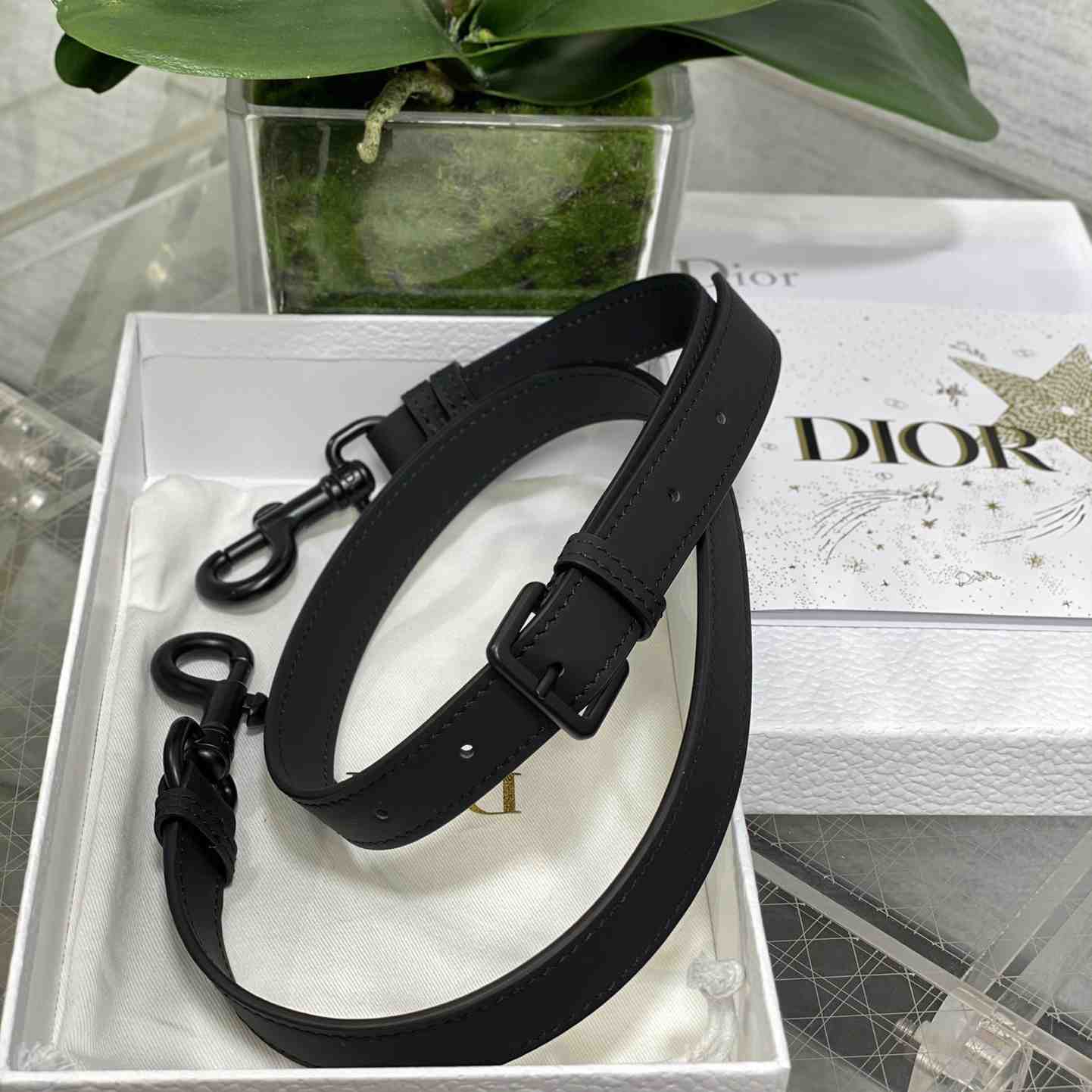 Dior Saddle Bag (24×6×18cm) - DesignerGu