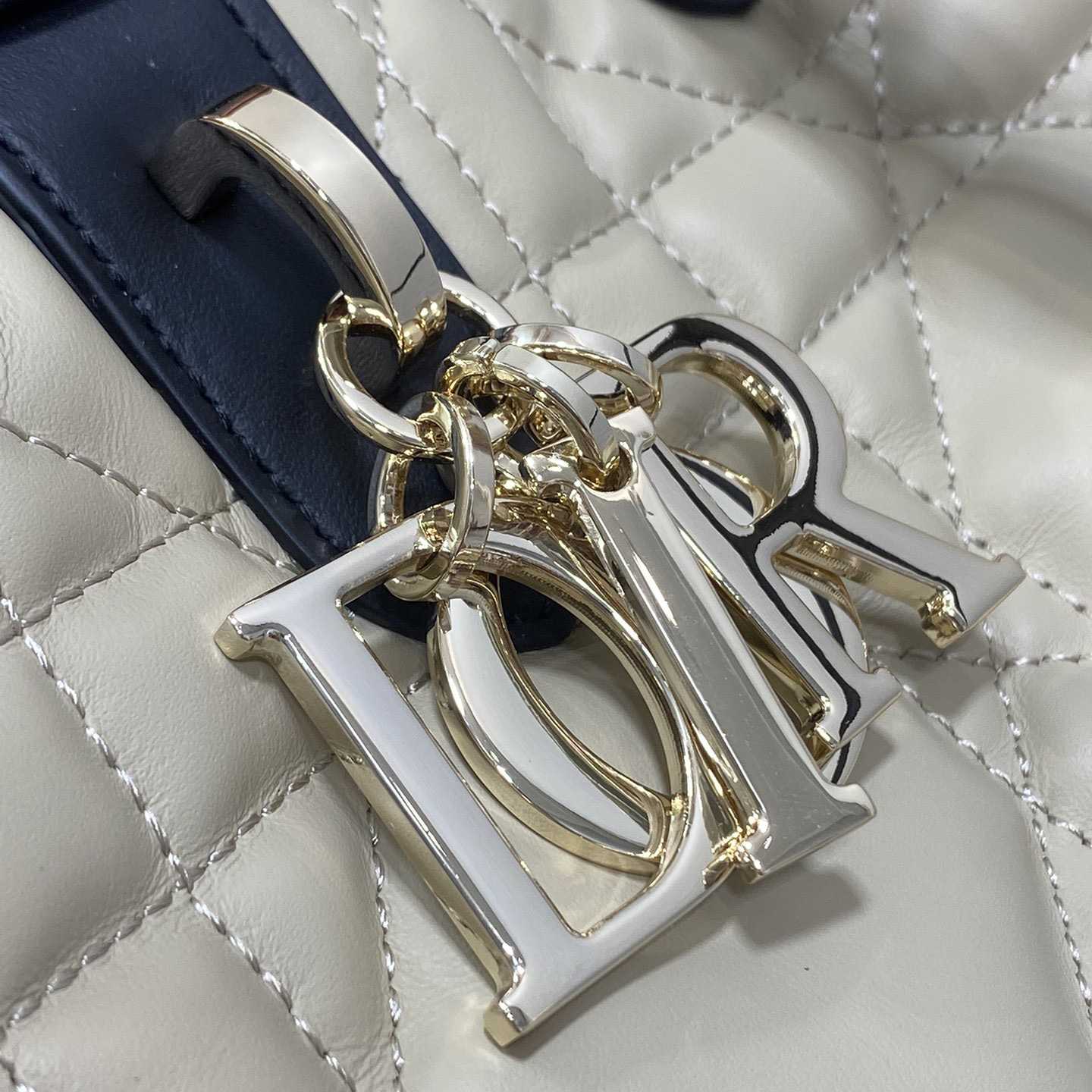 Dior Medium Dior Toujours Bag - DesignerGu