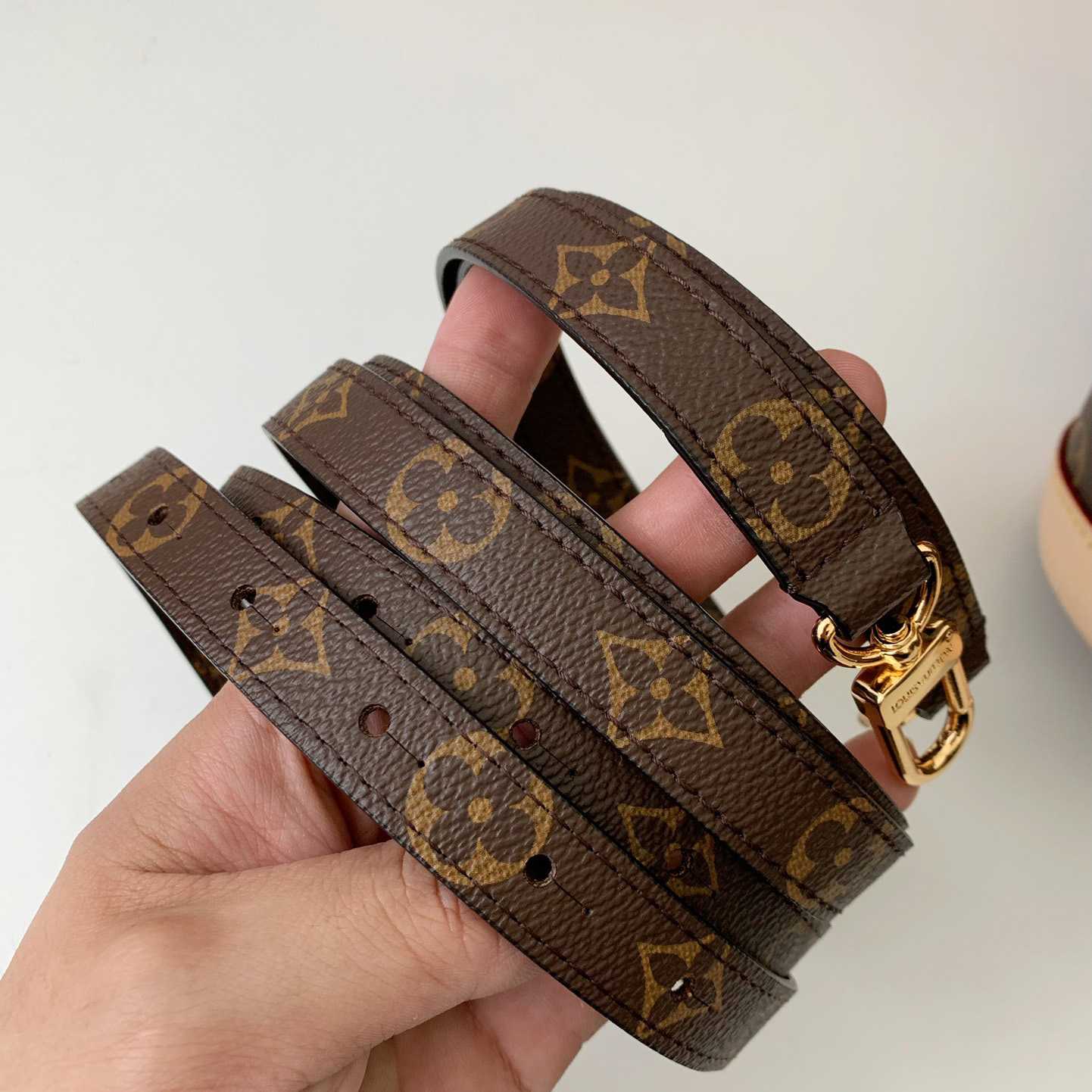 Louis Vuitton Montsouris PM   M11198 - DesignerGu