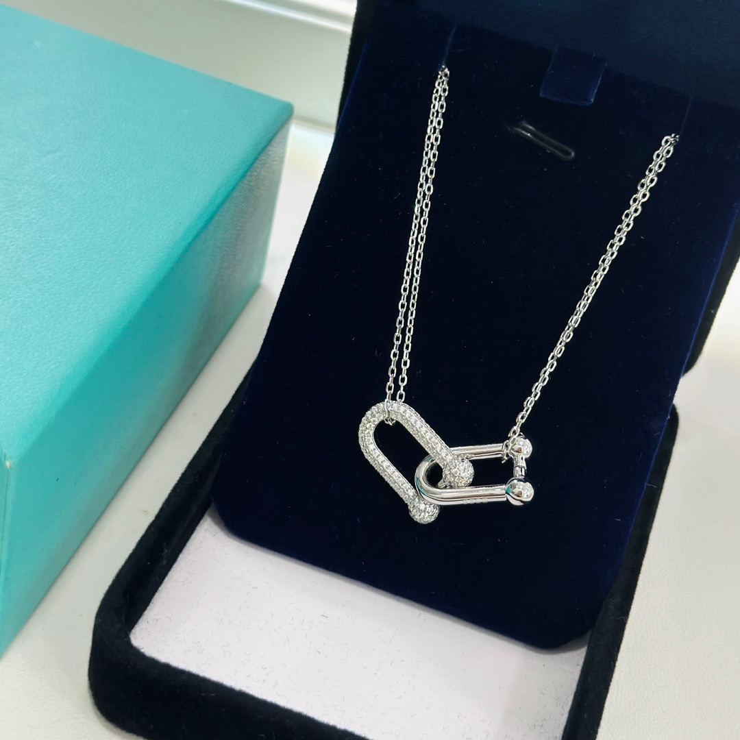 Tiffany & Co. Large Double Link Pendant - DesignerGu