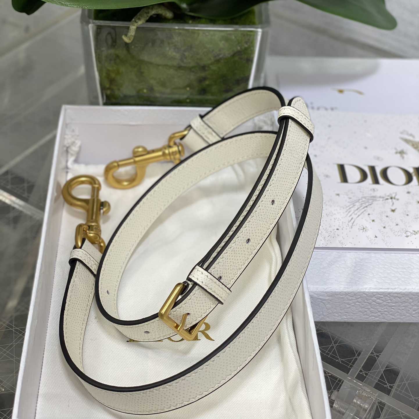 Dior Saddle Bag (24×6×18cm) - DesignerGu