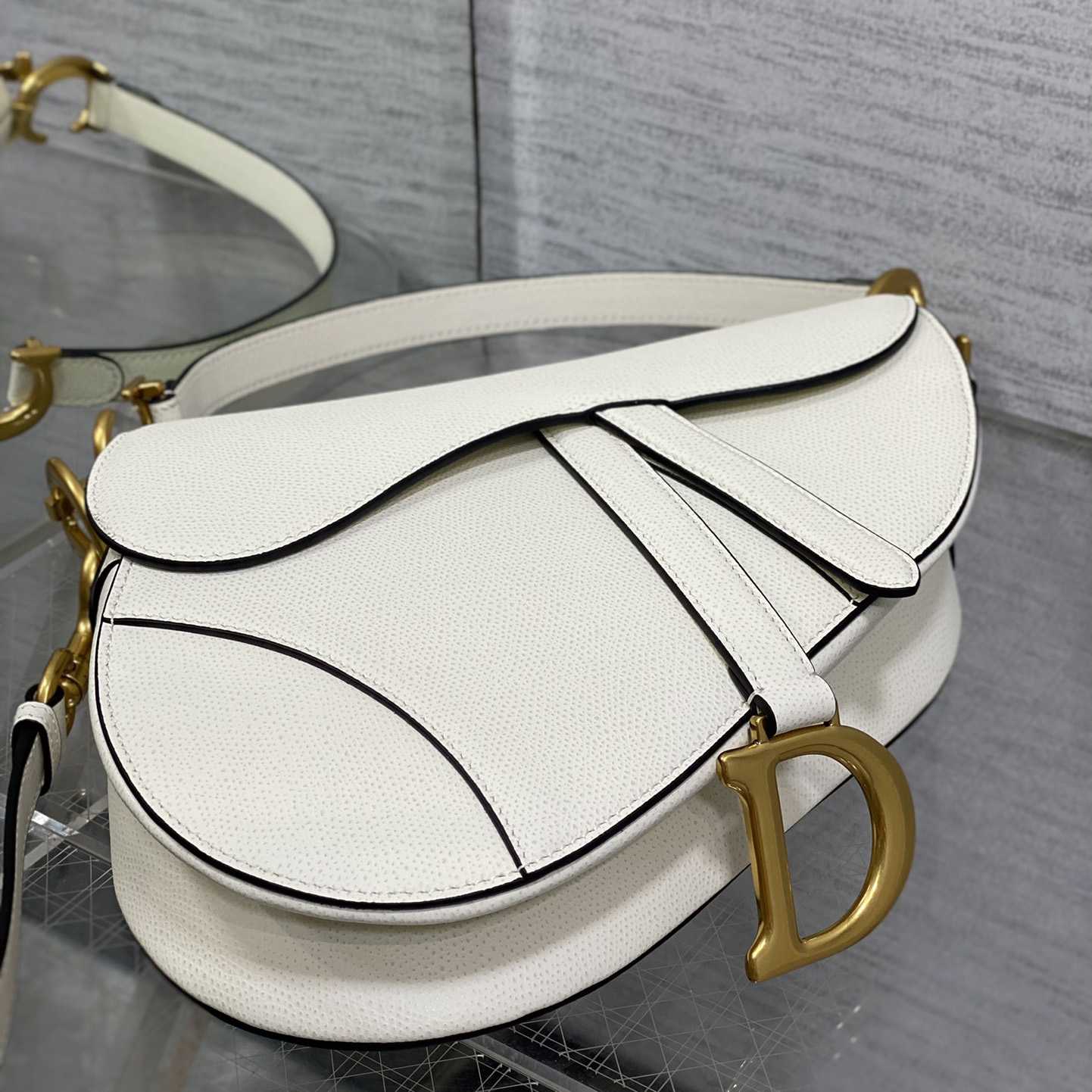 Dior Saddle Bag (24×6×18cm) - DesignerGu