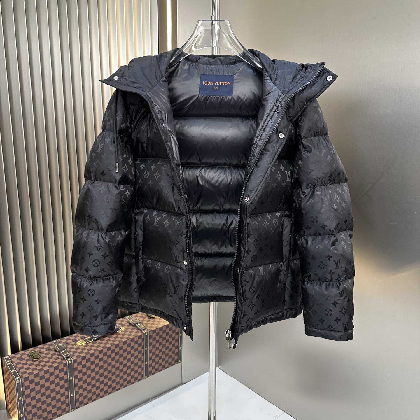 Louis Vuitton Monogram Down Jacket - DesignerGu