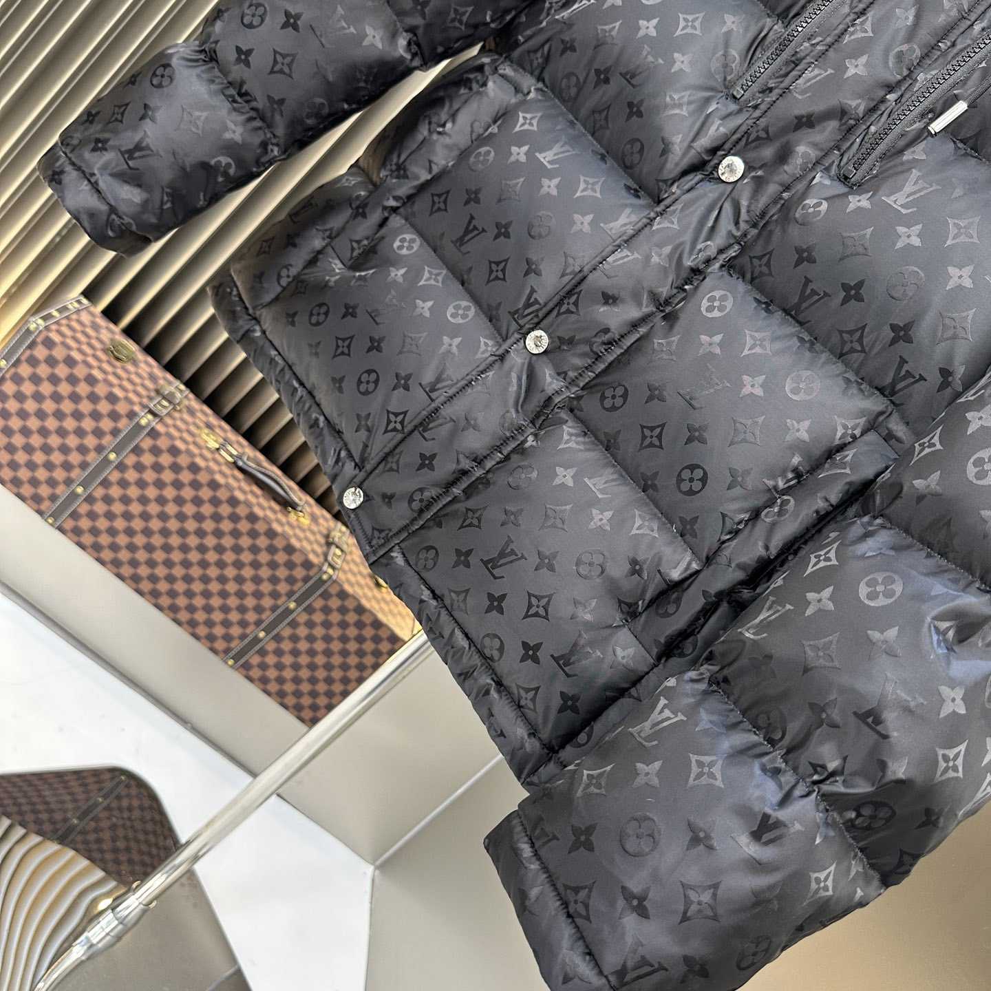 Louis Vuitton Monogram Down Jacket - DesignerGu