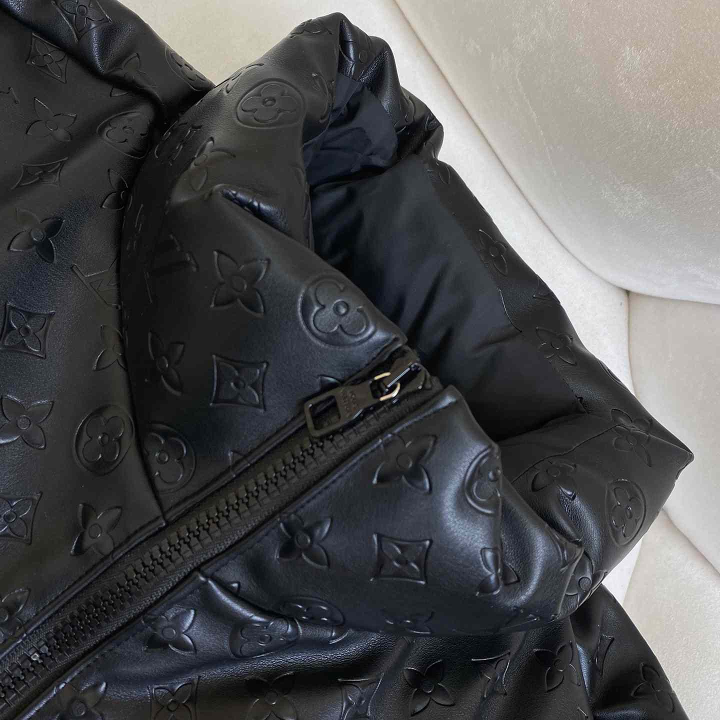 Louis Vuitton Down Blouson - DesignerGu