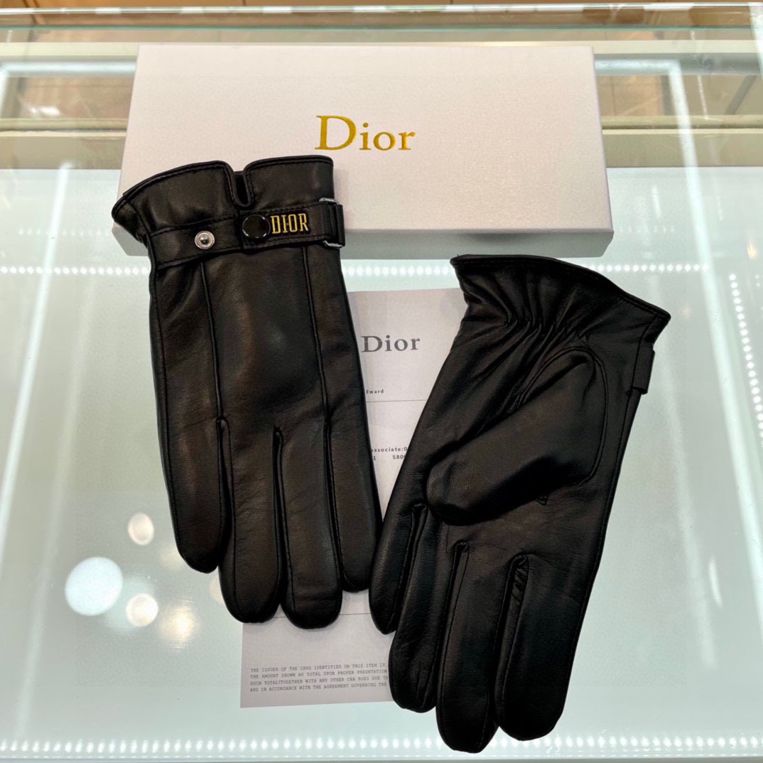 Dior Gloves  - DesignerGu