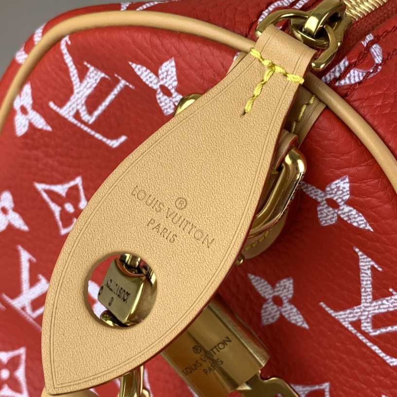 Louis Vuitton Speedy P9 Bandoulière 25   M24425 - DesignerGu