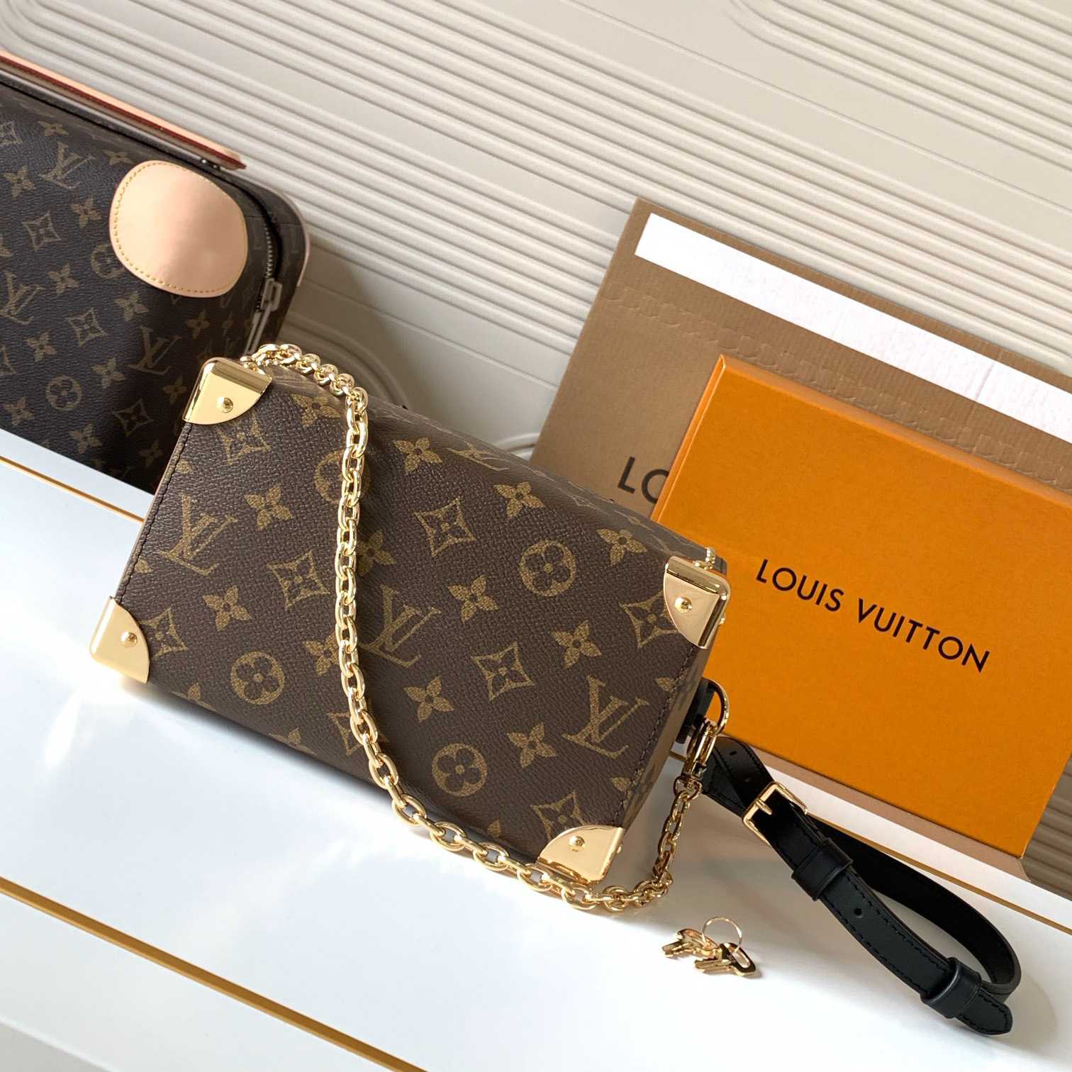 Louis Vuitton Speedy Trunk 20  M13146 - DesignerGu