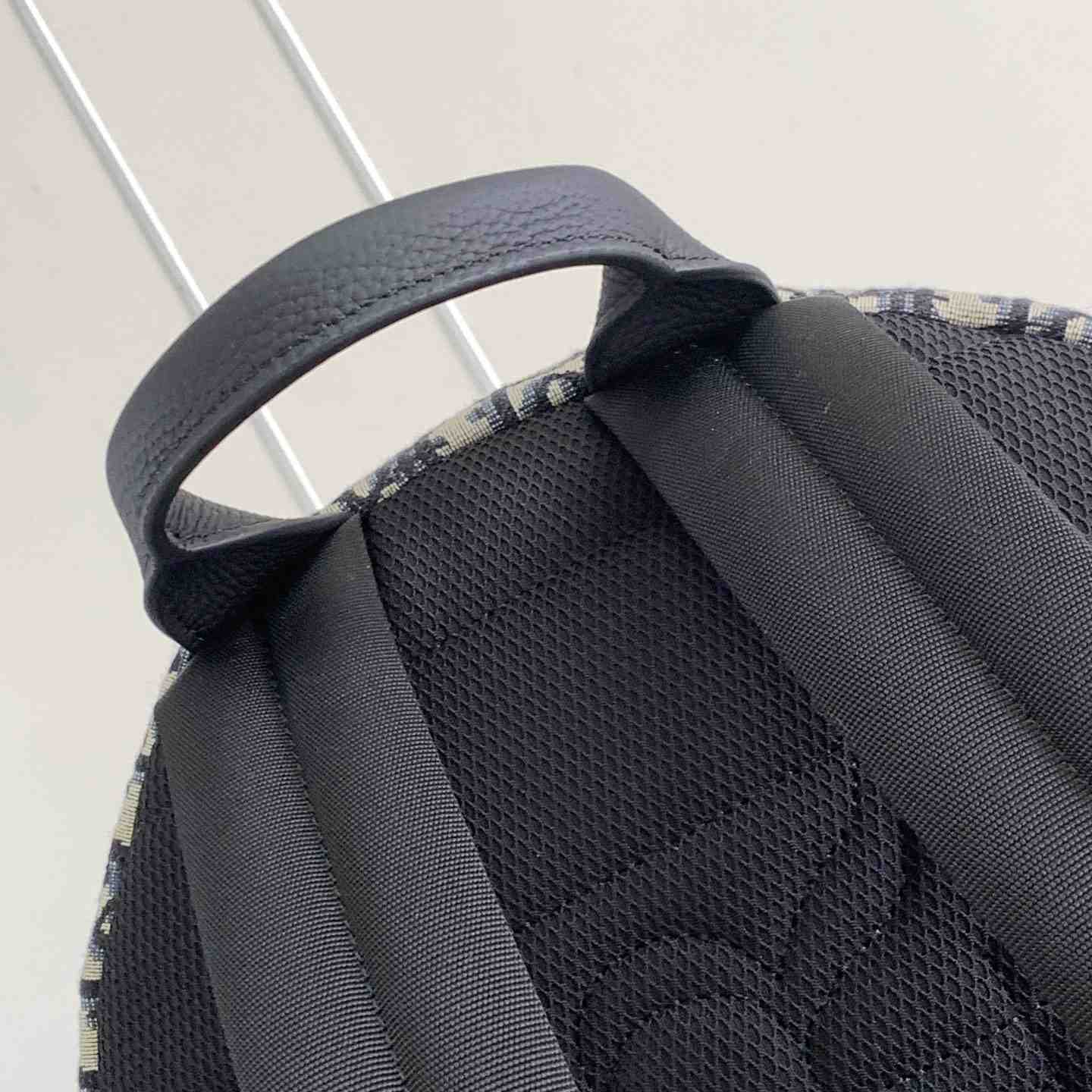 Dior 8 Backpack  - DesignerGu