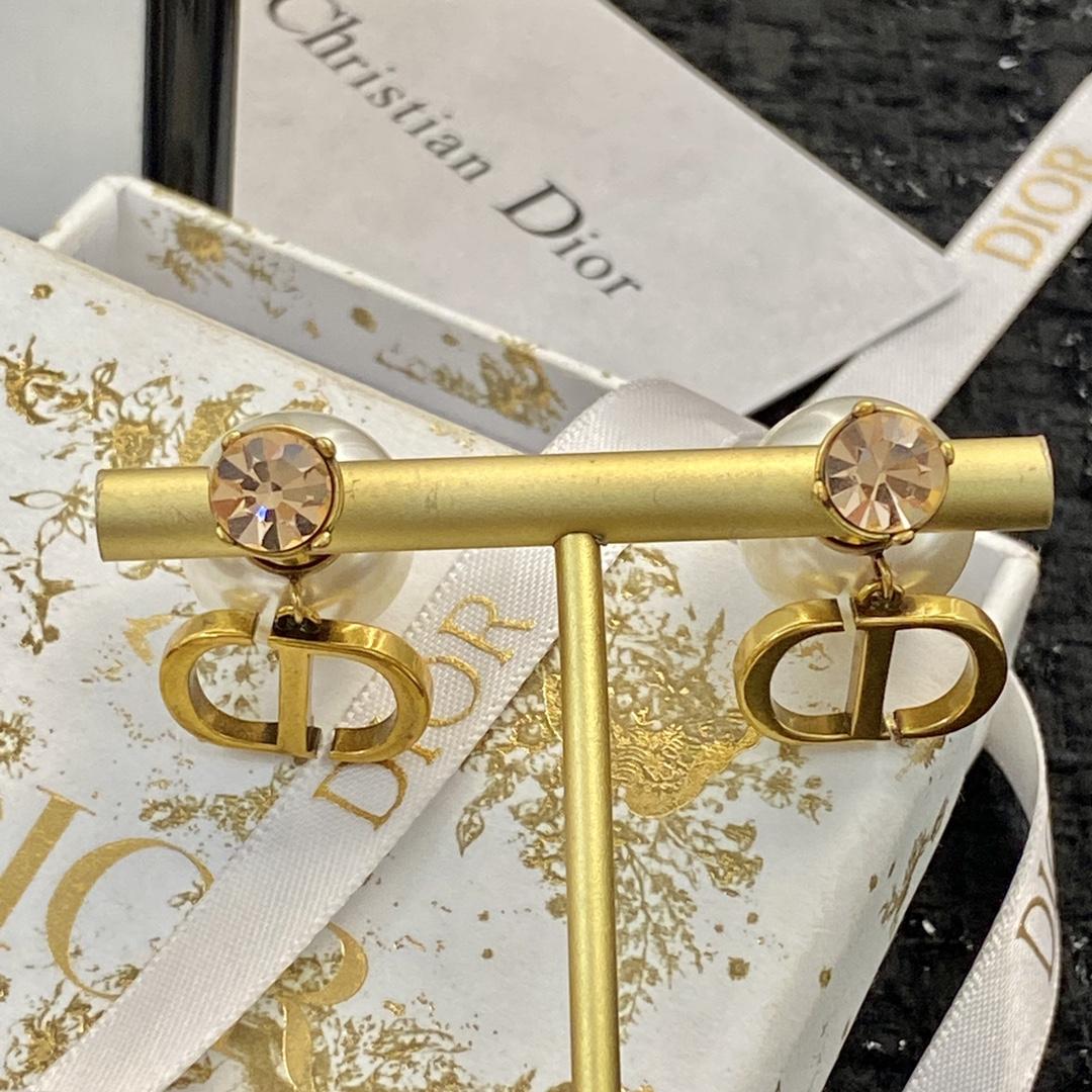 Dior Earrings - DesignerGu