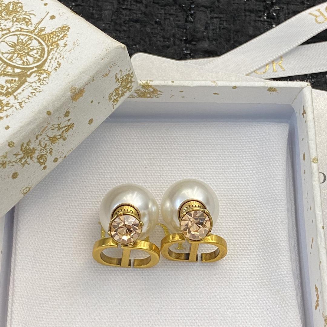 Dior Earrings - DesignerGu