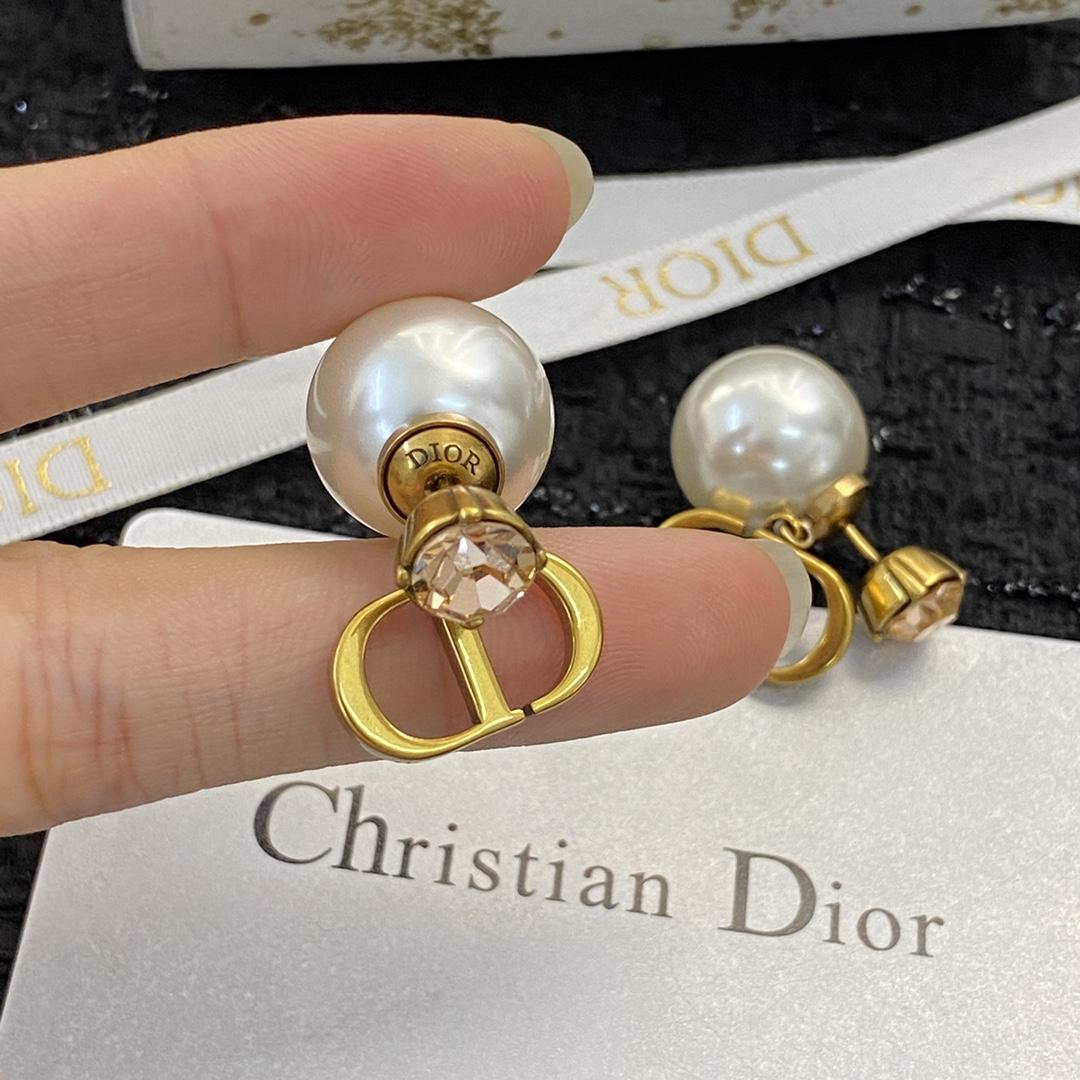 Dior Earrings - DesignerGu