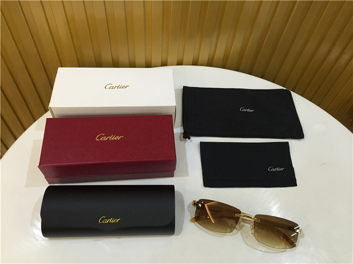 Cartier 3524012 White Buffalo Eyeglasses In Gold - DesignerGu