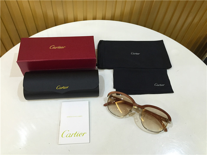 Cartier 1116679 Sunglasses In Silver Brown Gradient - DesignerGu