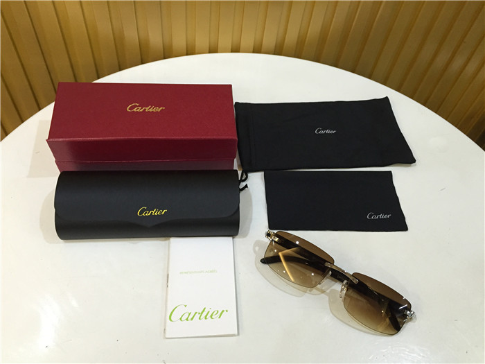 Cartier 3524012 Black Cattle Horn Eyeglasses In Silver - DesignerGu