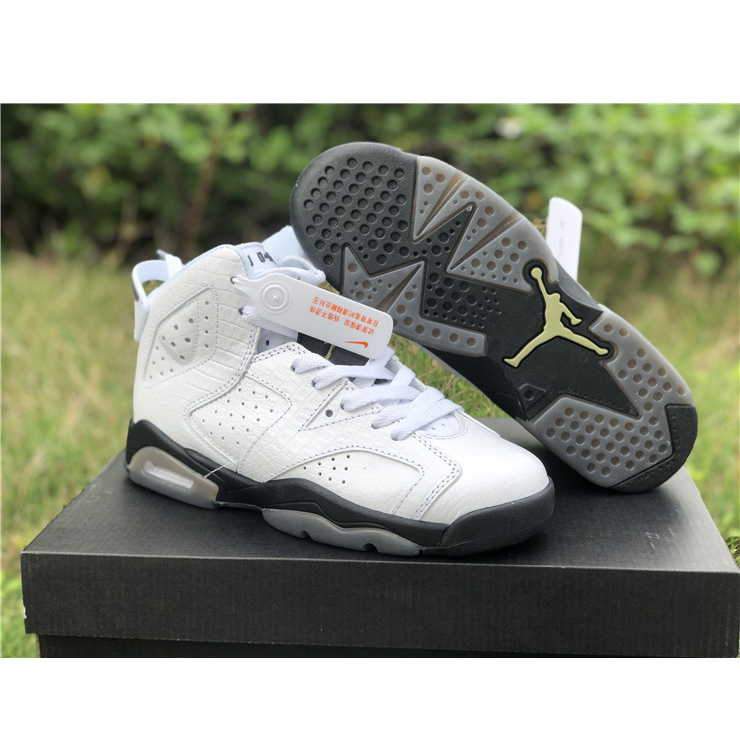 Air Jordan 6 