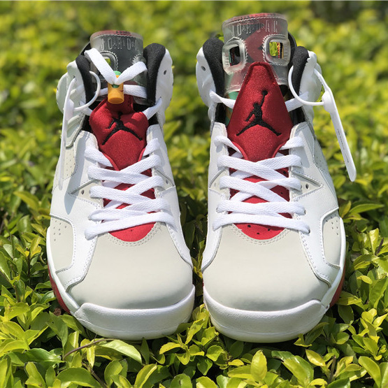 Jordan AJ6 Sneaker - DesignerGu