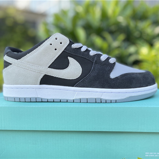 Nike SB Dunk Low PRO Sneakers 854866-001 - DesignerGu