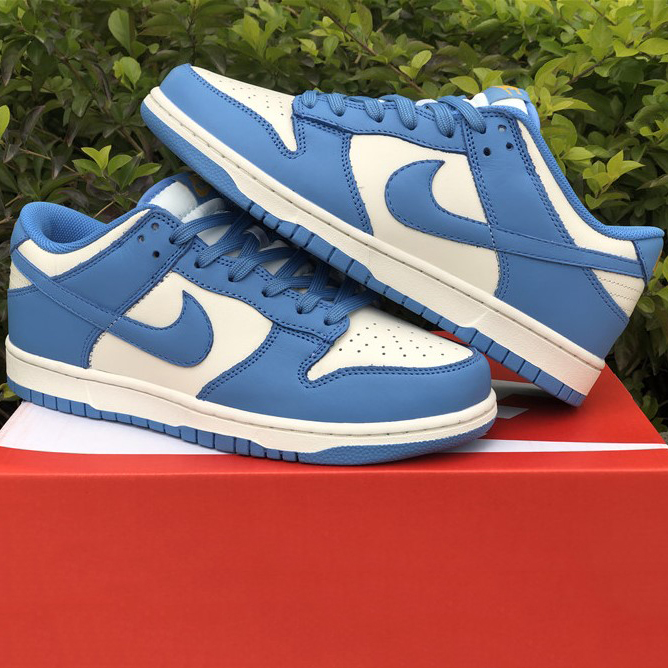 Nike Dunk Low Coast DD1503-100 - DesignerGu