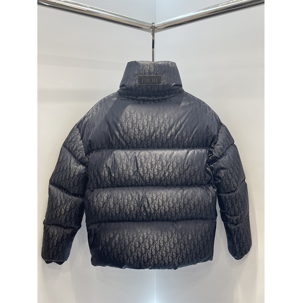 Dior Oblique Down Jacket  - DesignerGu