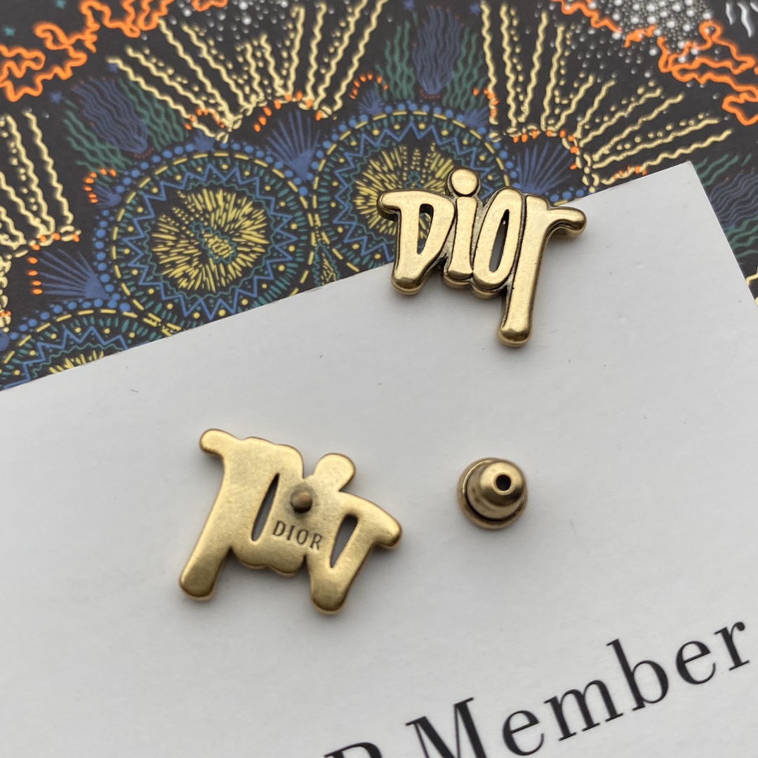 Dior  Earrings - DesignerGu