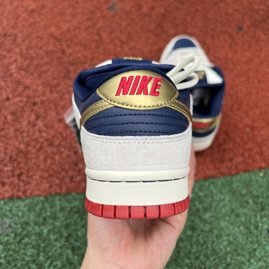 Nike Dunk SB Low Pro 