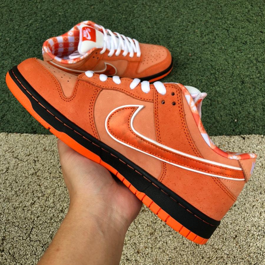 Concepts x Nike Sb Dunk Low 