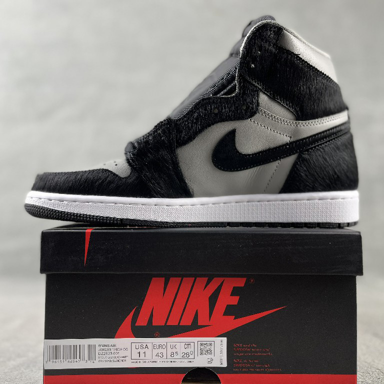 Air Jordan 1 High OG 