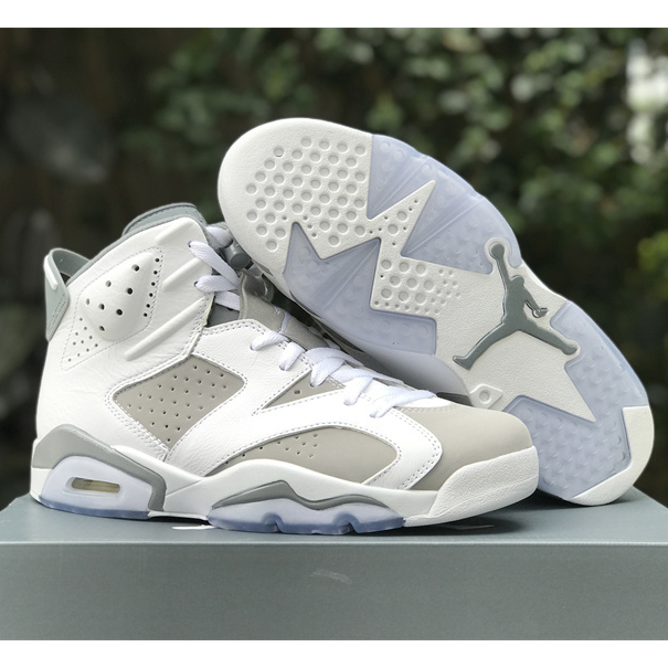 Air Jordan 6 “Cool Grey” Sneaker CT8529-100 - DesignerGu