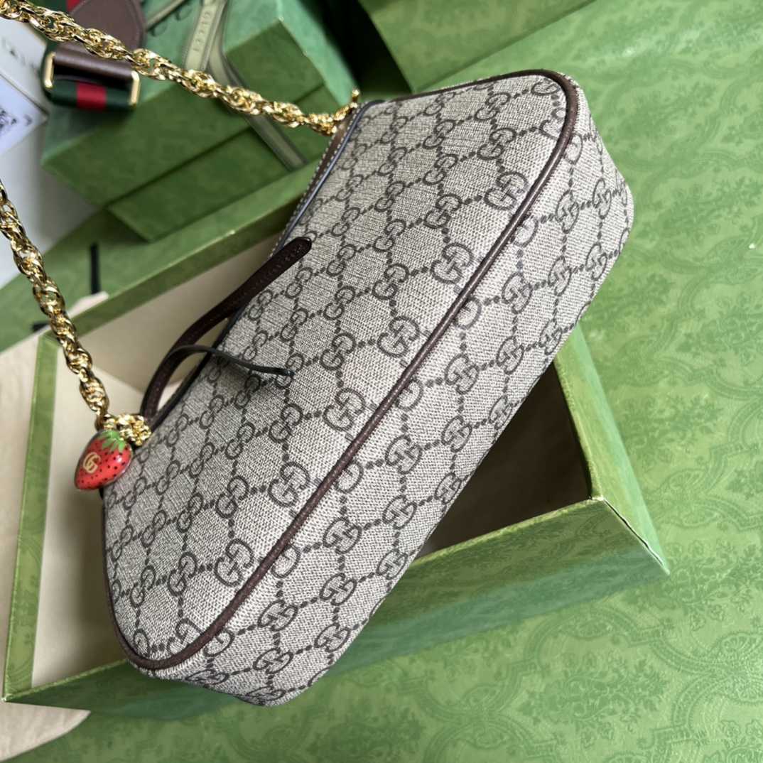 Gucci Ophidia GG Small Handbag(25*15.5*6cm)    - DesignerGu