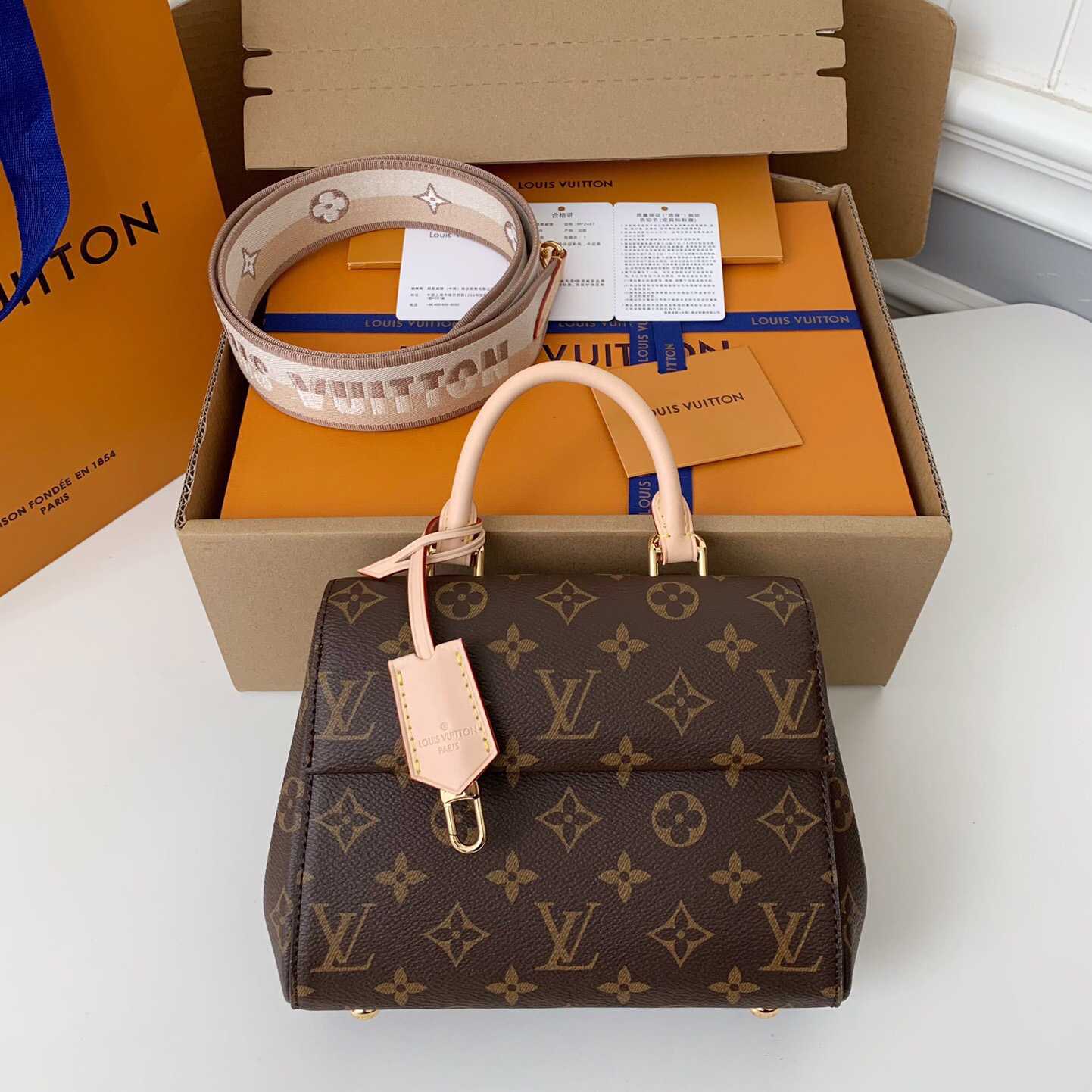 Louis Vuitton Cluny Mini Handbag  (20*16*7.5cm)    M46055 - DesignerGu