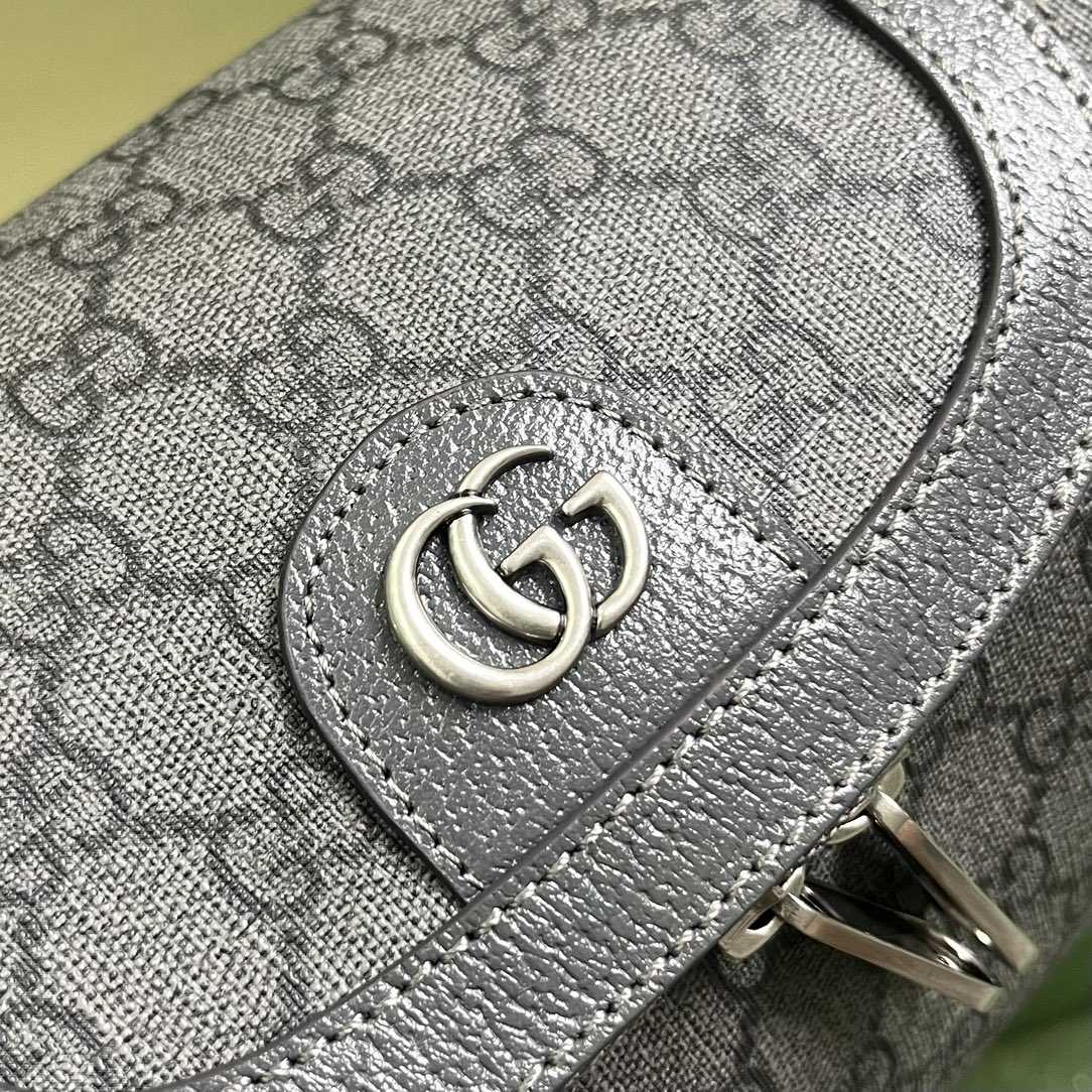 Gucci Ophidia Toiletry Case  (24-13-28cm) - DesignerGu