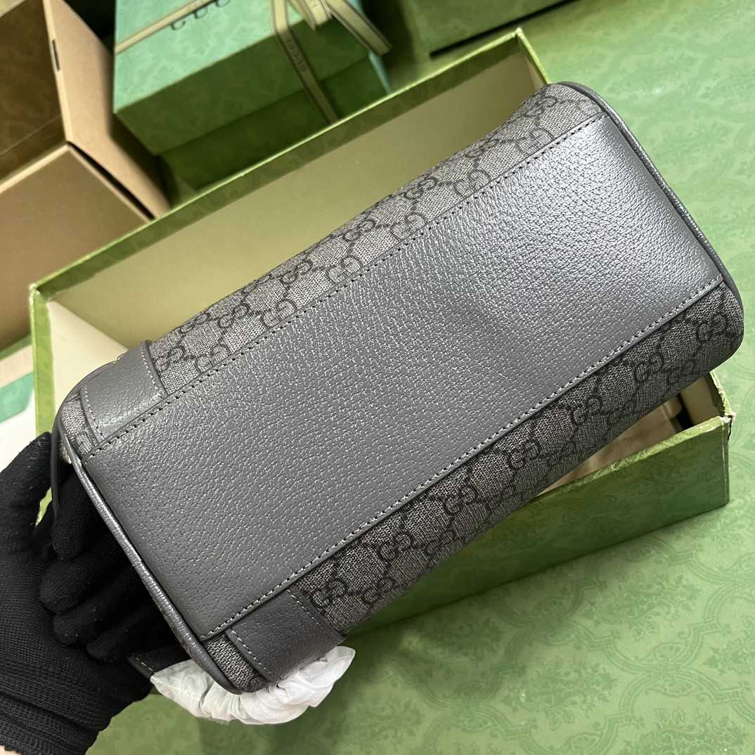 Gucci Ophidia Toiletry Case  (24-13-28cm) - DesignerGu