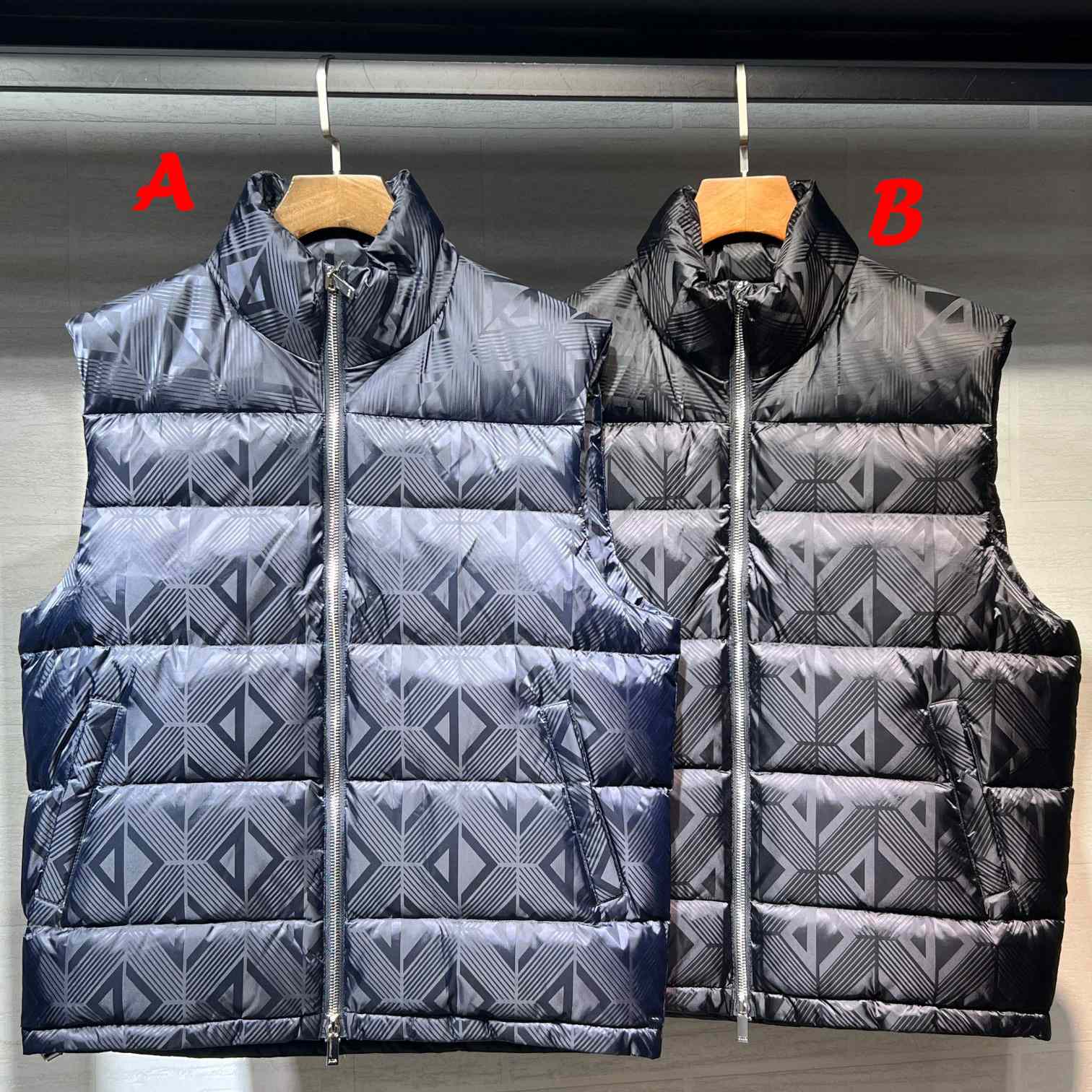 Dior Sleeveless Down Jacket - DesignerGu