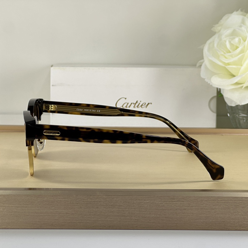 Cartier D-Frame Tortoiseshell Acetate Sunglasses   CT0366 - DesignerGu