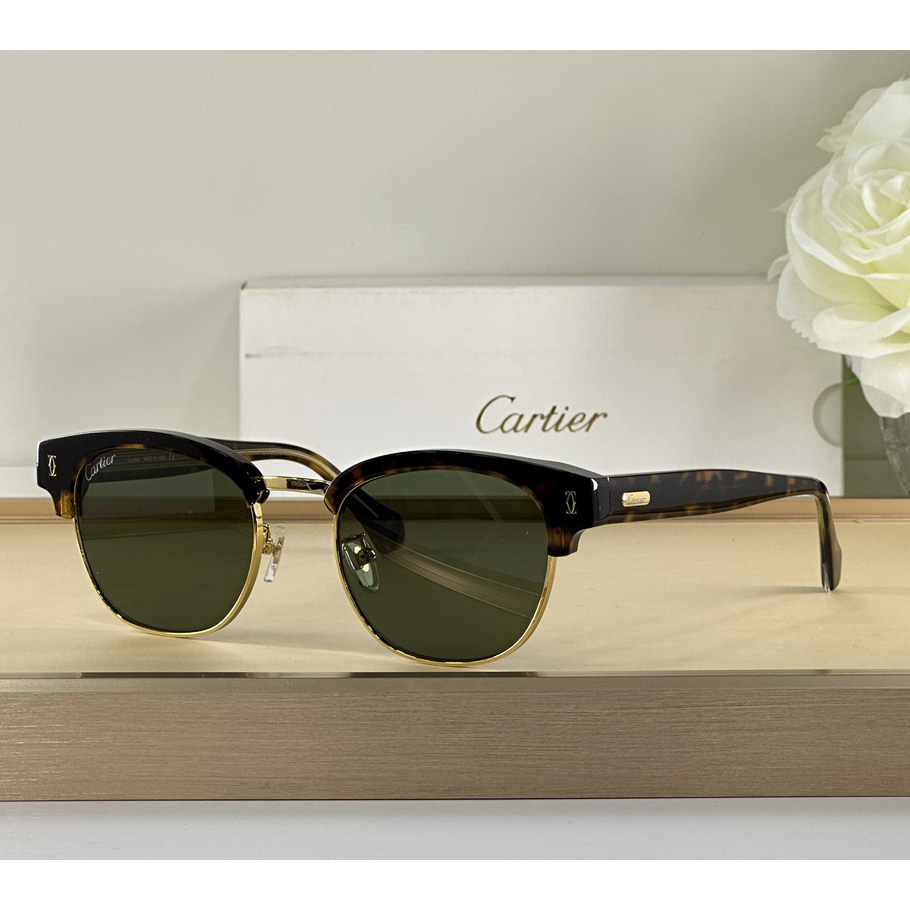 Cartier D-Frame Tortoiseshell Acetate Sunglasses   CT0366 - DesignerGu