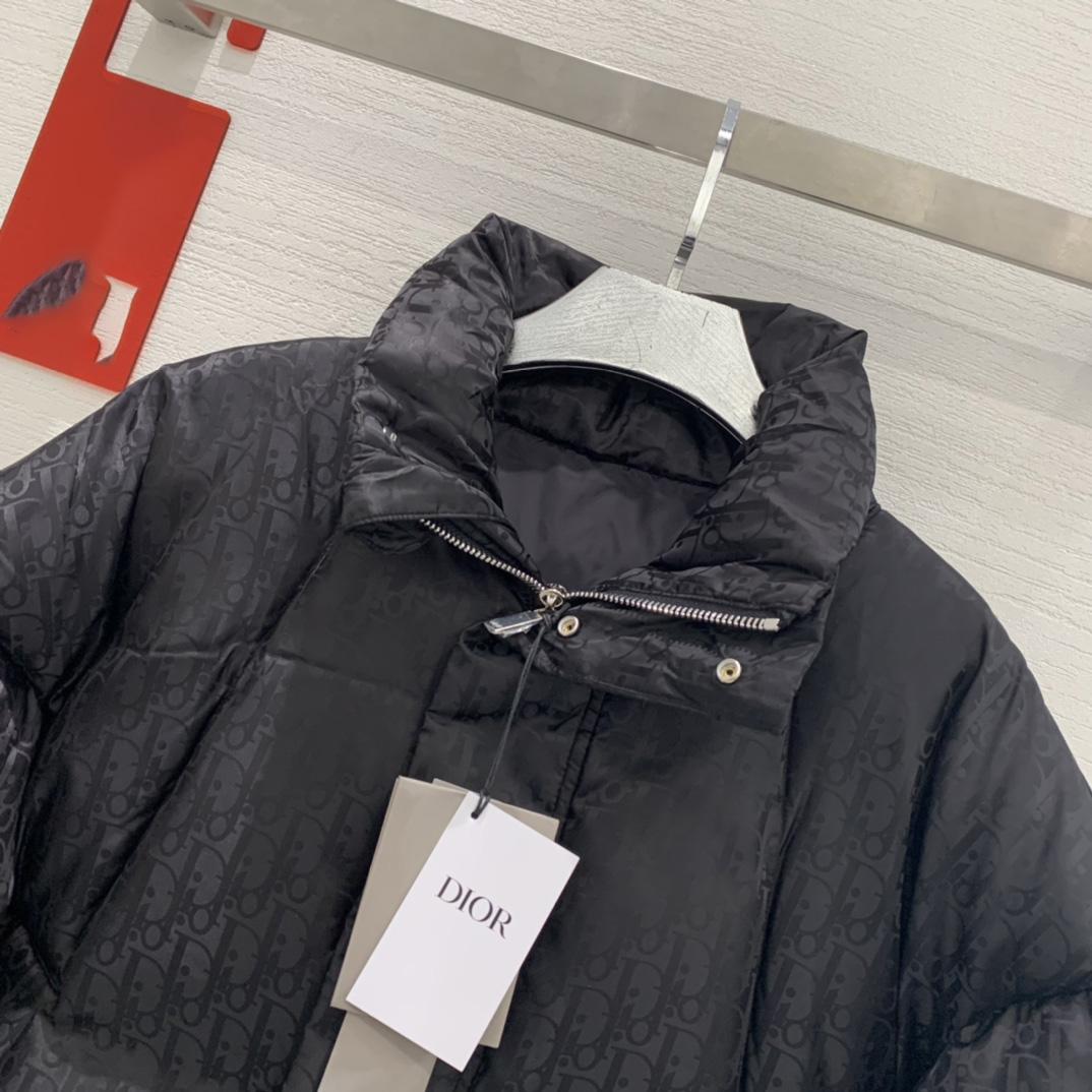 Dior Oblique Down Jacket - DesignerGu