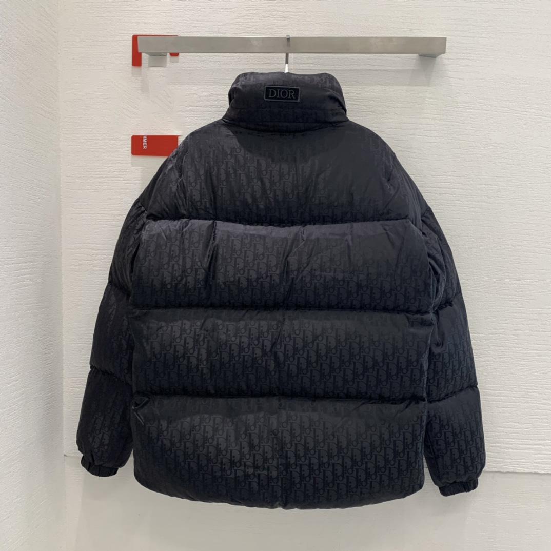 Dior Oblique Down Jacket - DesignerGu