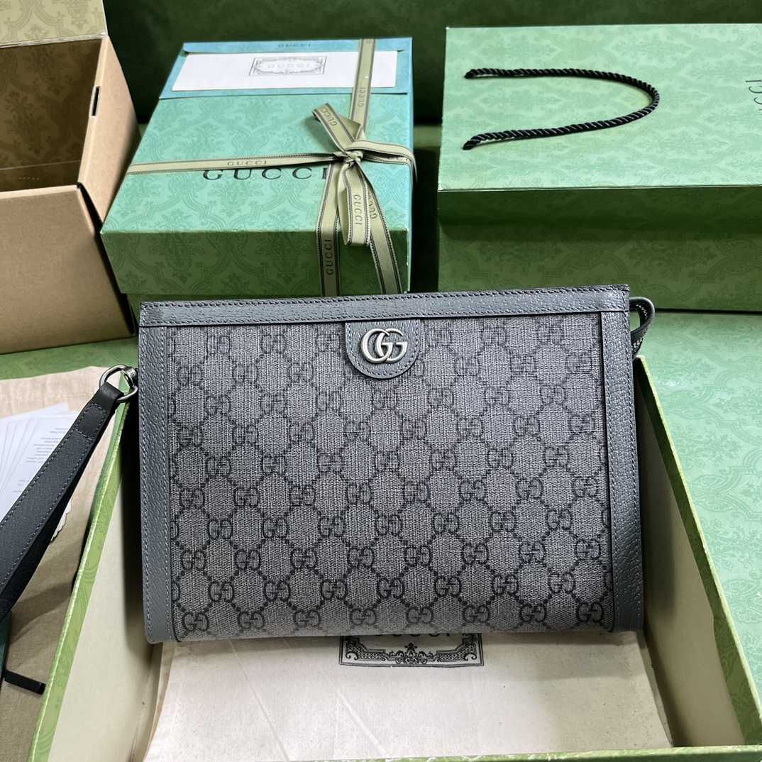 Gucci Ophidia GG Pouch - DesignerGu