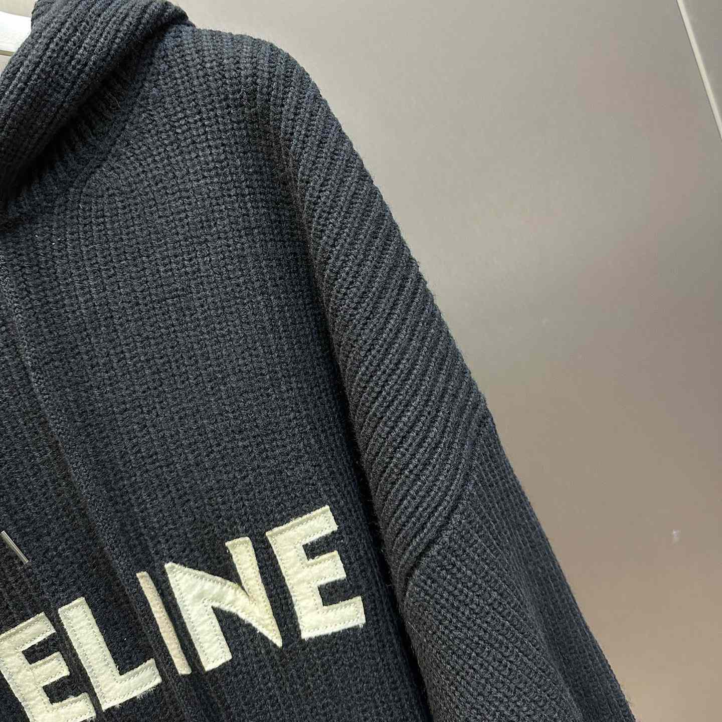 Celine Hooded Sweater In Ribbed Wool - DesignerGu