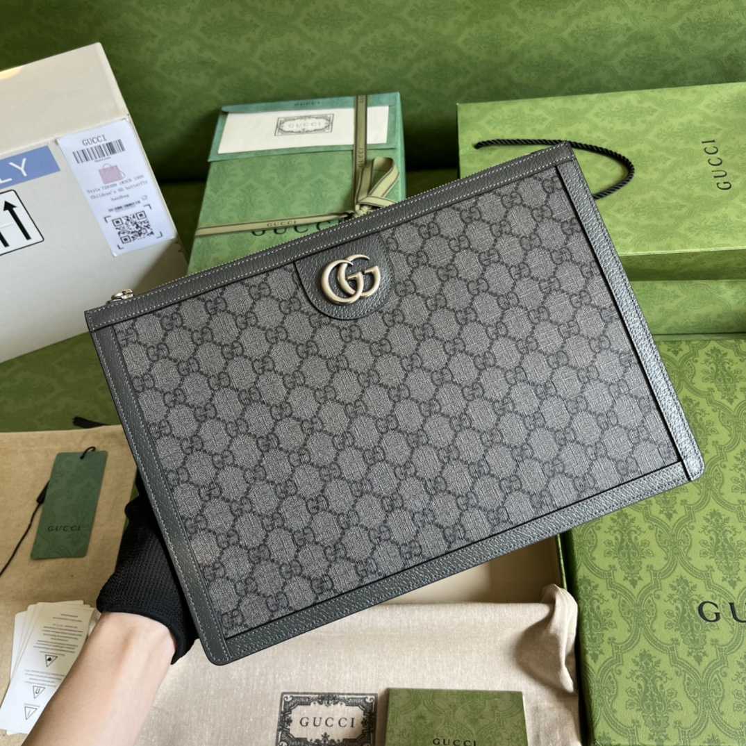 Gucci Ophidia GG Pouch (34*24*5cm) - DesignerGu