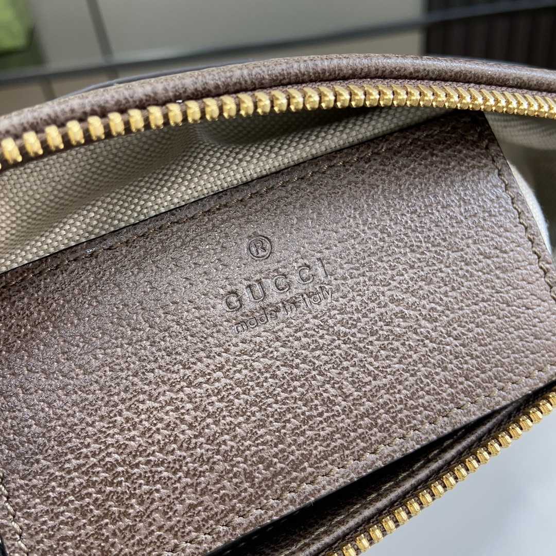 Gucci Ophidia GG Mini Shoulder Bag  - DesignerGu