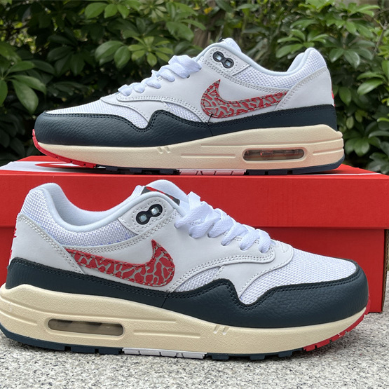 Nike Air Max 1 Sneaker    DH1348-146 - DesignerGu