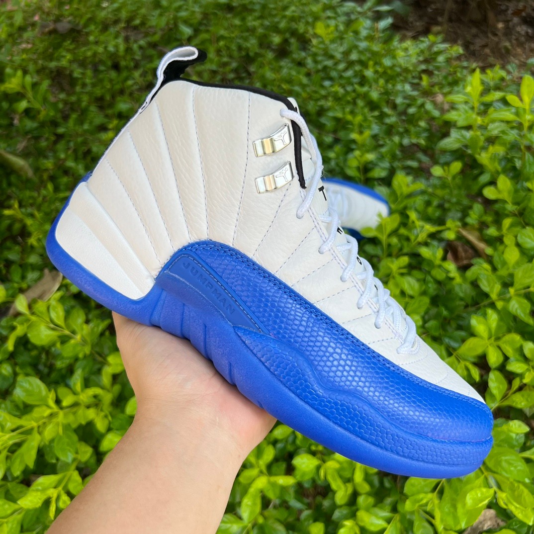 Air Jordan 12 “Blueberry” Sneaker      CT8013-140 - DesignerGu