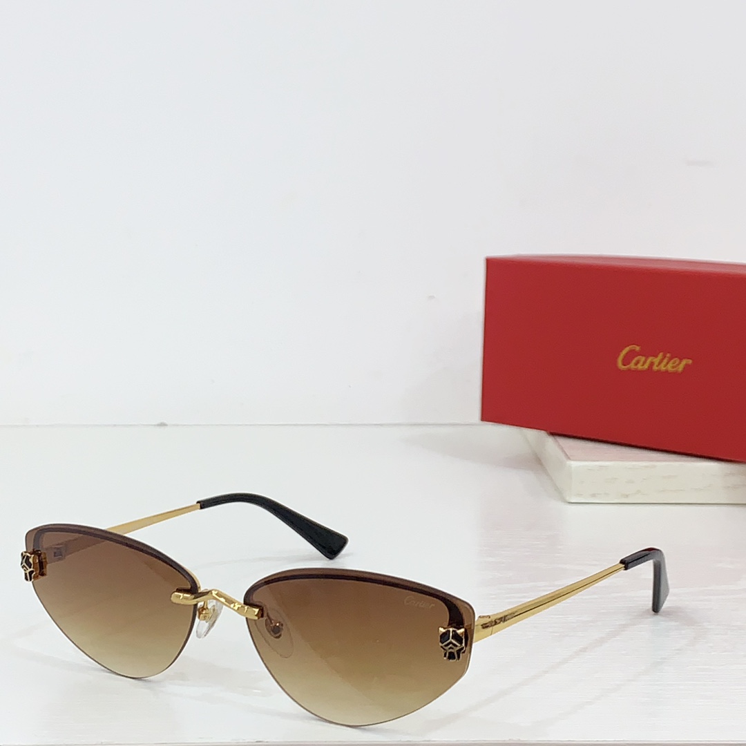 Cartier CT0431S Sunglasses - DesignerGu