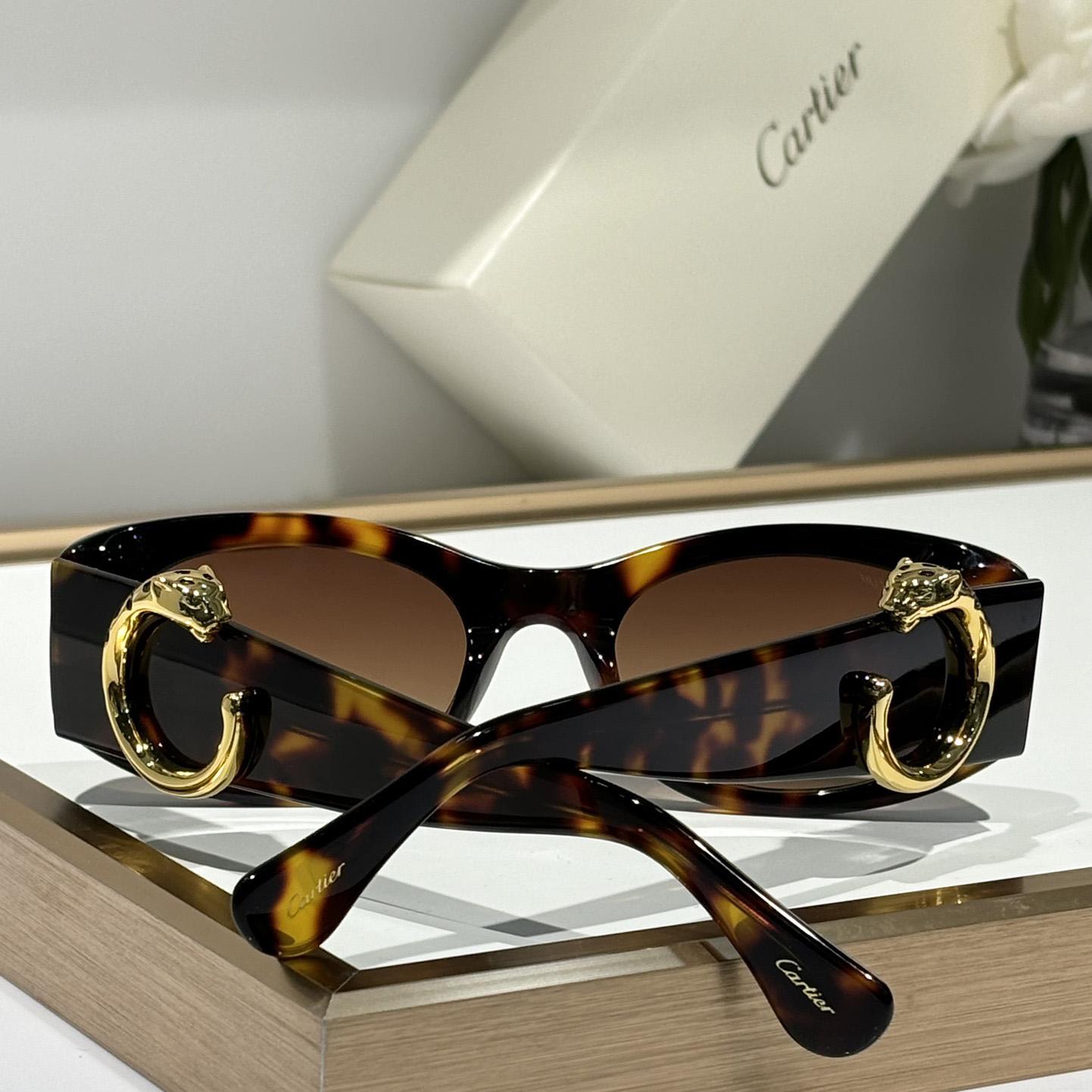 Cartier CT0472S Sunglasses    - DesignerGu